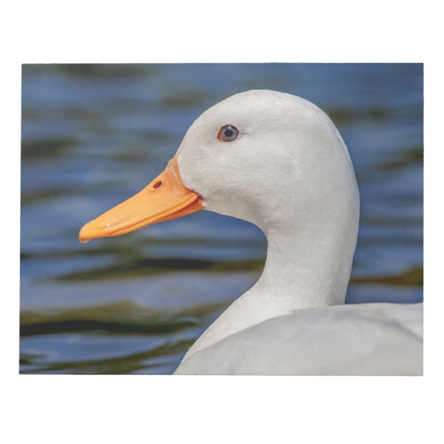White Mallard Duck Notizblock (Vorderseite)