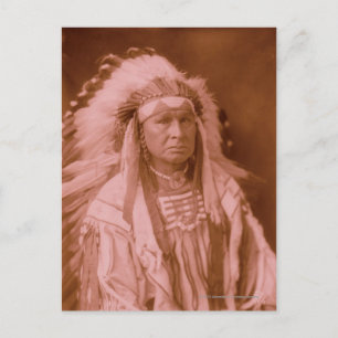 White Man fährt ihn - Crow Postkarte