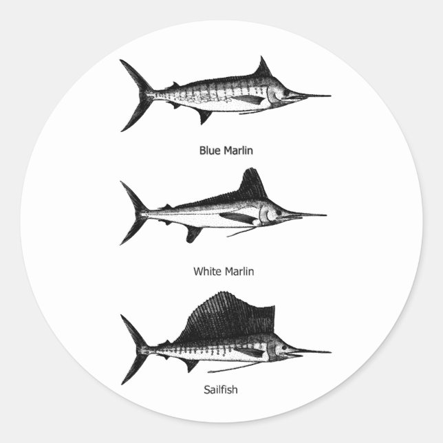 White Marlin - Blue Marlin - Sailfish-Logo Runder Aufkleber (Vorderseite)