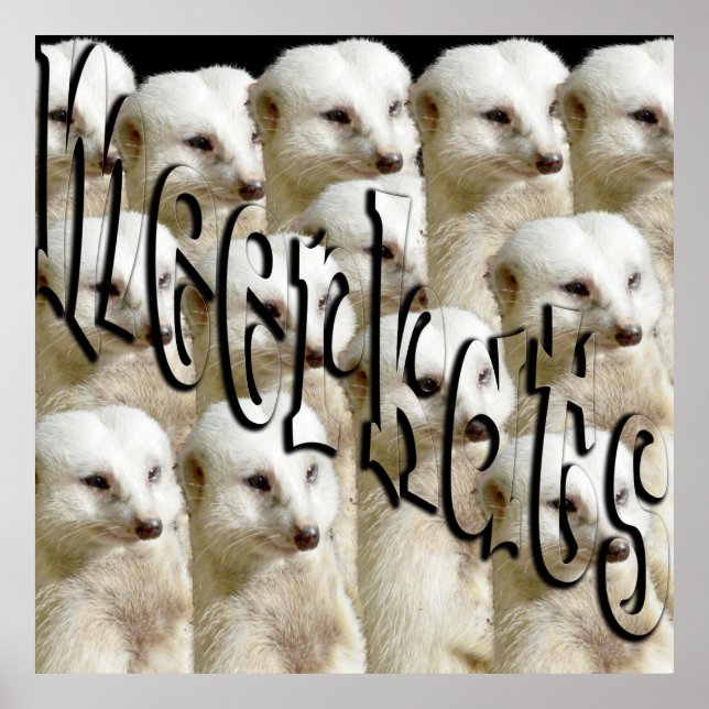 White Meerkat Army and Logo, Poster (Vorne)