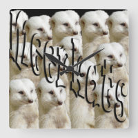 White Meerkat Army