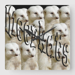 White Meerkat Army, Quadratische Wanduhr