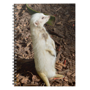 White Meerkat Stehend , Notebook Notizblock