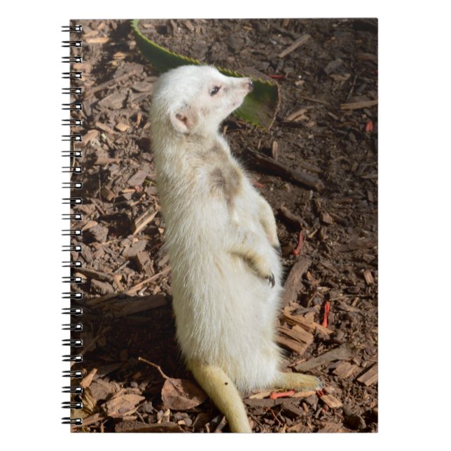 White Meerkat Stehend , Notebook Notizblock (Vorderseite)