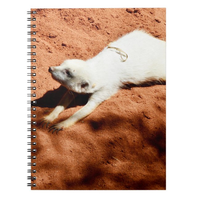 White Meerkat Stretching, Notebook Notizblock (Vorderseite)