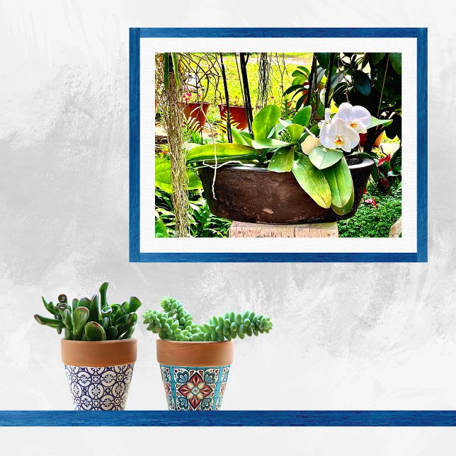 White Moon Orchid Poster (Von Creator hochgeladen)