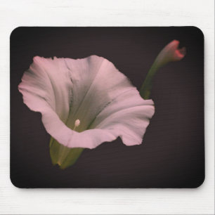 White Morning Glory Blume Mousepad