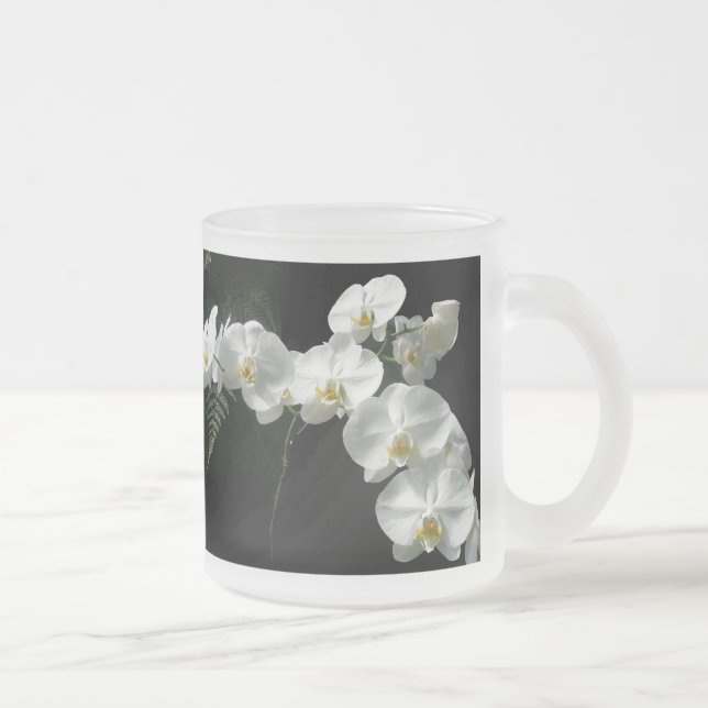 White Moth Orchid Blume & Ferns Mattglastasse (Rechts)