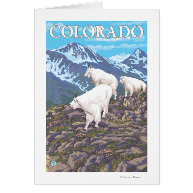White Mountain Goat FamilyColorado (Vorne)