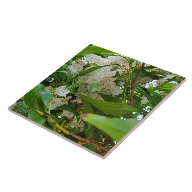 White Mountain Laurel  Keramik Tile Fliese (Seite)