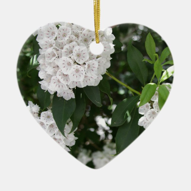 White Mountain Laurel Star Shaped Blume Keramik Ornament (Vorne)