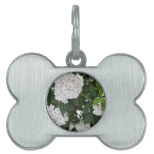 White Mountain Laurel Star Shaped Blume Name des T Tiermarke