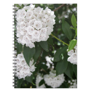 White Mountain Laurel Star Shaped Blume Notizblock