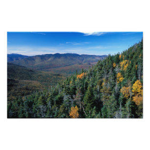 White Mountain N.F., NH. Die Aussicht von der Nähe Fotodruck