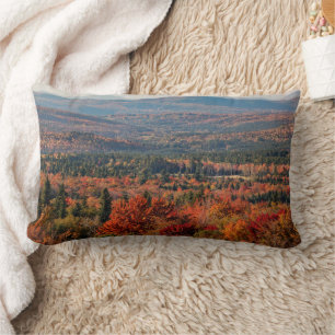 White Mountains National Forest New Hampshire Lendenkissen