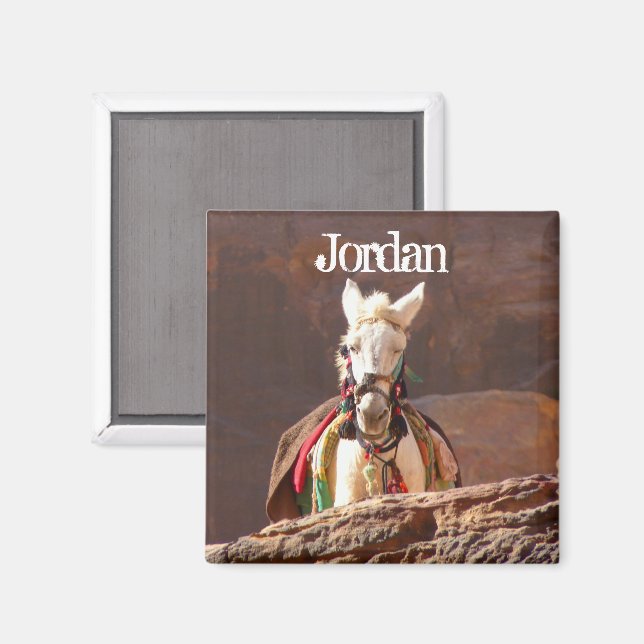 White Mule, Petra Jordan Magnet (Vorderseite/Rückseite)
