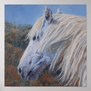 White Mustang Fine Art Print Poster