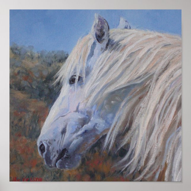 White Mustang Fine Art Print Poster (Vorne)