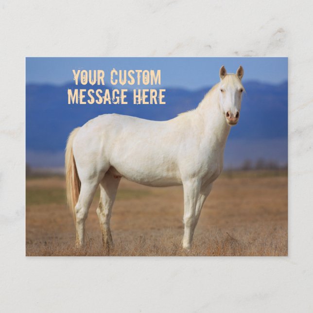 White Mustang Horse Postkarte (Vorderseite)