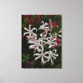 White Nerine Flowers Canvas Print Leinwanddruck