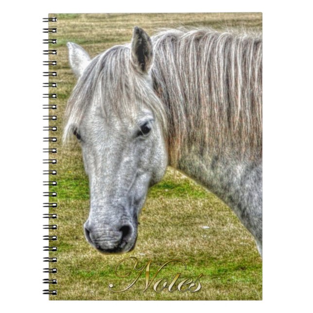 White New Forest Pony Wild Horse Notizblock (Vorderseite)