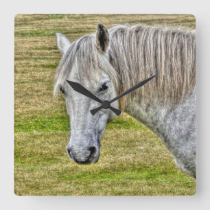 White New Forest Pony Wild Horse Quadratische Wanduhr