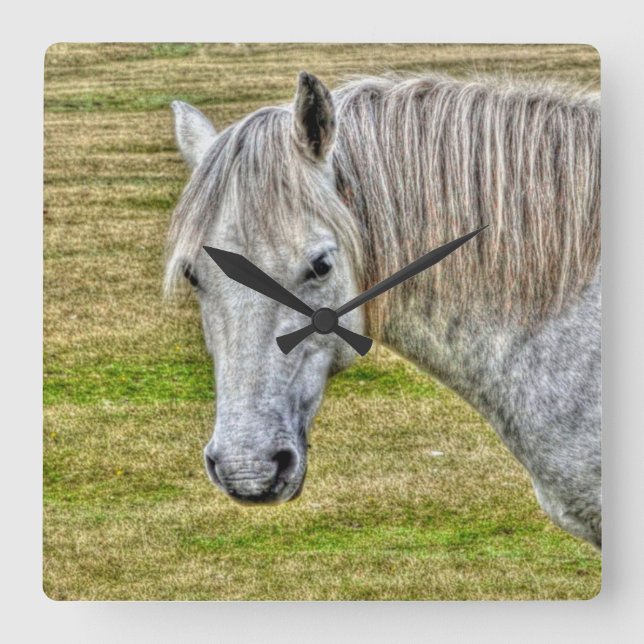 White New Forest Pony Wild Horse Quadratische Wanduhr (Vorderseite)