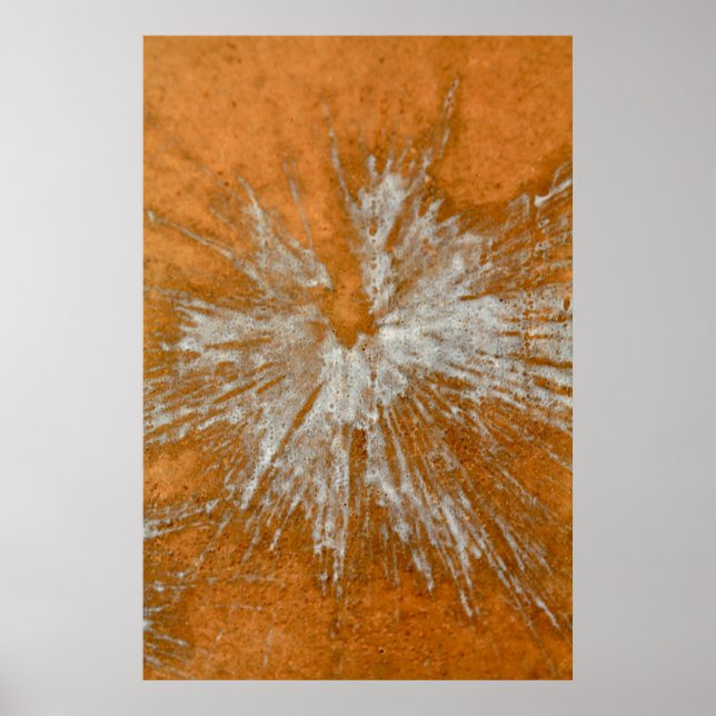 White on Gold Paintball Poster (Vorne)