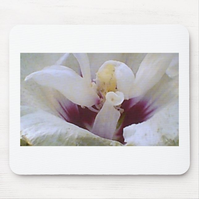 White on White Rose Bloom Mousepad (Vorne)