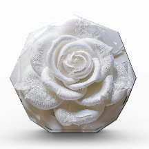 White on White - Skulptur Rose