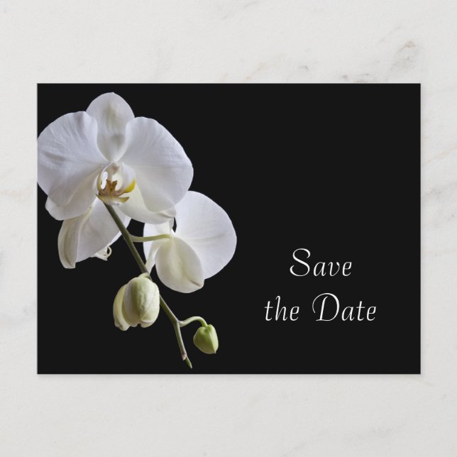 White Orchid auf Black Wedding Save the Date Ankündigungspostkarte (Vorderseite)