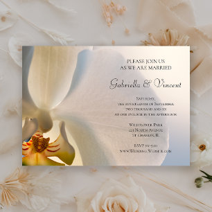 White Orchid Elegance Wedding Einladung