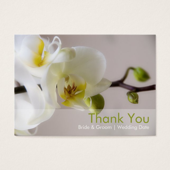 White Orchid Gastgeschenk Hochzeit Tag (Vorderseite)