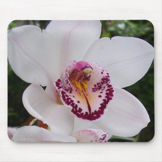 White Orchid I Beautiful Tropical Blume Mousepad (Vorne)