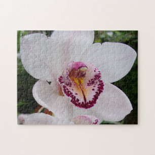 White Orchid I Beautiful Tropical Blume Puzzle