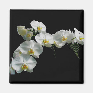 White Orchid Magnet