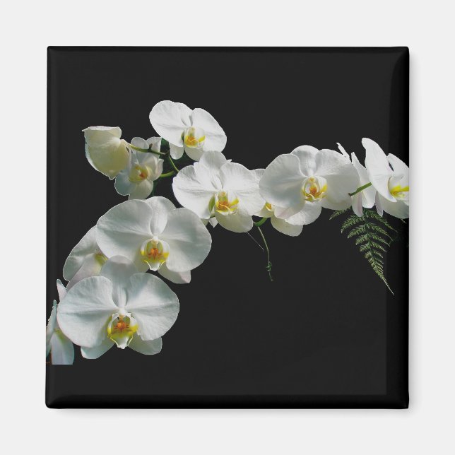 White Orchid Magnet (Vorne)