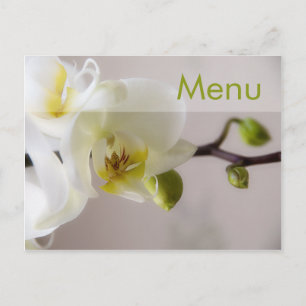 White Orchid Menü Postcard Postkarte