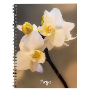 White Orchid Spiral Foto Notebook Notizblock