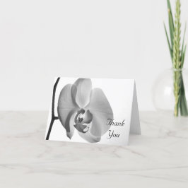 White Orchid Vielen Dank Dankeskarte