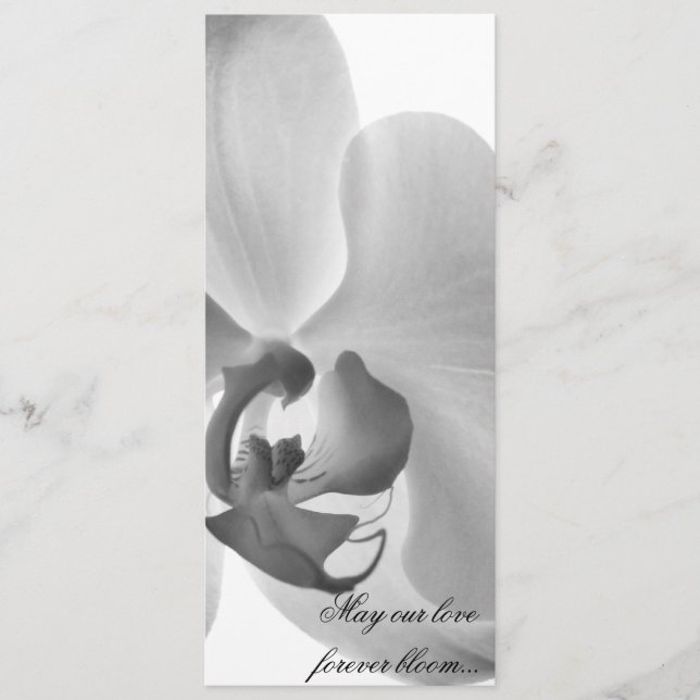 White Orchid Wedding Program Programm (Vorderseite)