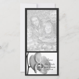 White Orchid Wedding Save the Date