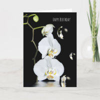 White Orchids With Bubbbble Reflektion Birthday