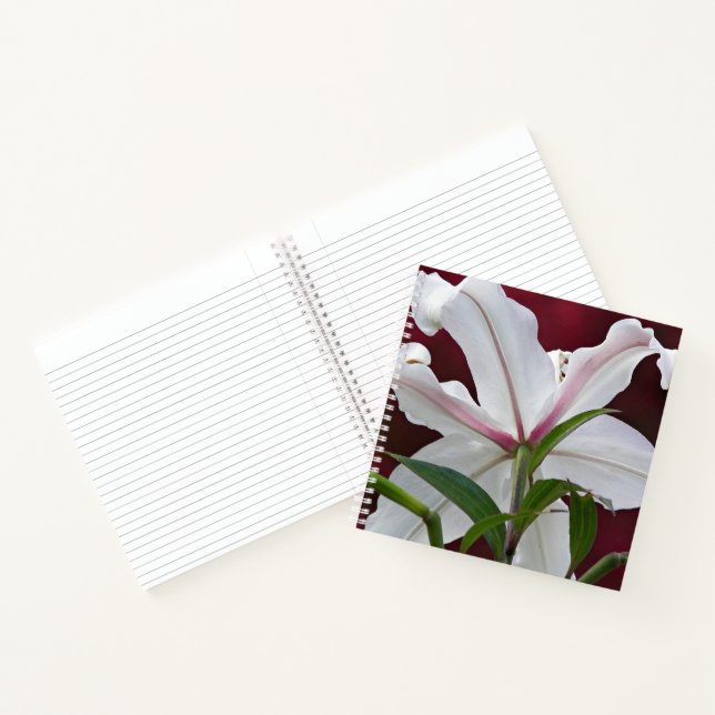 White Oriental Lily Bloom Floral Notizbuch (Innenseite)
