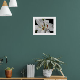 White Oriental Lily Floral Fotografisch Poster