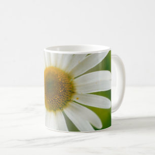 White Oxeye Daisy - Leucanthemum vulgare Kaffeetasse