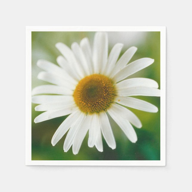 White Oxeye Daisy - Leucanthemum vulgare Serviette (Vorderseite)