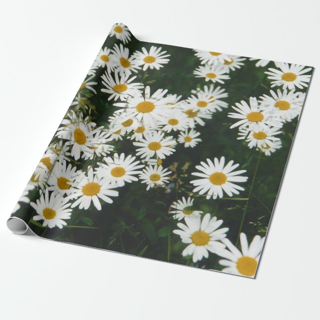 White Oxeye Daisy Meadow Geschenkpapier (Ungerollt)