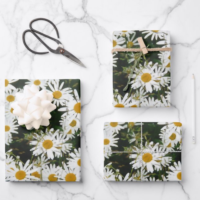 White Oxeye Daisy Meadow Geschenkpapier Set (Vorderseite)