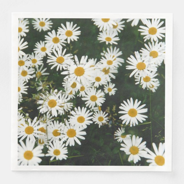 White Oxeye Daisy Meadow Serviette (Vorderseite)
